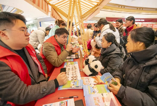 2026年宿城区“学雷锋、做志愿、共同奋进‘十五五’”主题活动